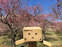 梅林からのさわやか〜〜