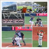 野球観戦（オリックスVS埼玉 ...