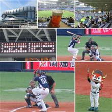 野球観戦（オリックスVS埼玉西武）