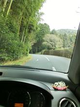 久し振りのお山遊び(#^.^#)
