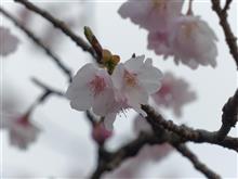 3月11日土曜日の日記 3.11から6年 3月11日土曜日の日記 3.11から6年