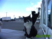 移動式運動場…？