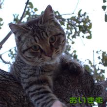 登って来いよ.、と言われても。。。