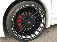 ハーマンホイール塗り分け