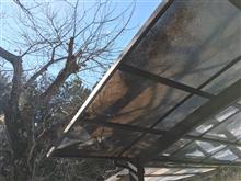 パンダ復活作業中です 〜高圧洗浄機〜