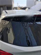 天気が良いので
