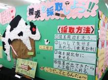 昼は良くても浅香唯…