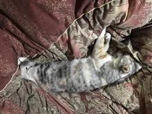 おはようございますm(._.)m