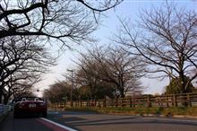 午後からお礼を言いに行って来ました 午後からお礼を言いに行って来ました