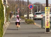 初めてのおつかい