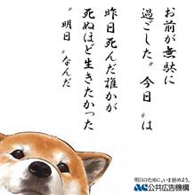 結局、今日は・・・