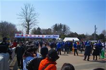 鳥撮り散歩（2017年3月20日）