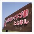 さわやかなイチゴ狩りオフ2017