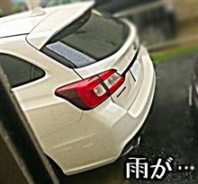 今日は…雨…