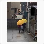 王子の後ろ姿だよ