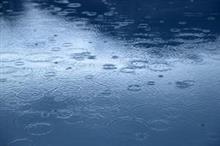 雨の日は・・・。
