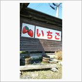 茨城っす