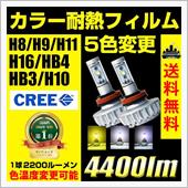必見♪♪♪　いろんなキャンペ ...