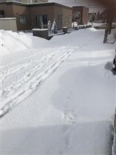 タイヤ交換は４月
