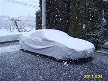 おいおい~またかよ~! おいおい~またかよ~!
