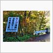 紅葉の国道352号「樹海ライン」　(2013 .10)