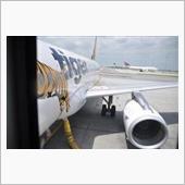 函館発台北行きの飛行機が思わ ...