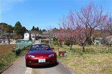お墓参りに行って懐かしい再会をして来ました(^^) お墓参りに行って懐かしい再会をして来ました(^^)