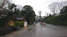 今朝の朝散歩