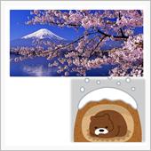 桜も開花したのに、またまた冬 ...