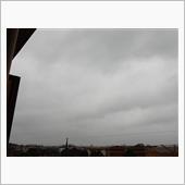 ３月２７日　冷たい雨が降って ...