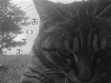 日焼け｡｡｡(^◇^;)