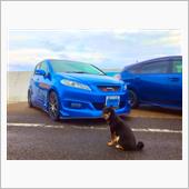 impact blue チバ ...