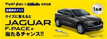 ジャガーがあたったらどうしよう。