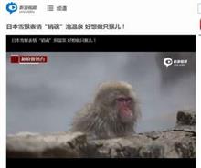 「ああ、ニホンザルになりたい」　中国人も驚く温泉に浸かって「恍惚」の猿 