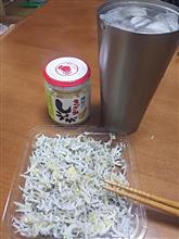 今晩の料理