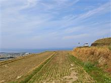 長崎県大村市草場町（県道６号線付近）　