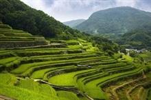 中国人の常識を打ち破る？　日本の知られざる観光・撮影スポット５選＝中国メディア