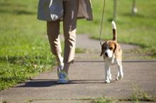 日本人は恐ろしく、驚嘆すべき民族だ！　犬の散歩で水を持ち歩く理由＝中国