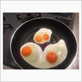 なんかでた！