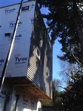 metal siding on one side of the house