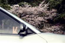 Sakura 2017 R30 West Japan Meeting In Okayama