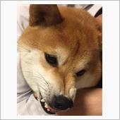 「　おはようございます～　」