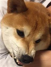 「　おはようございます～　」