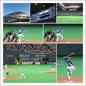 野球観戦（北海道日本ハムVS ...