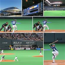 野球観戦（北海道日本ハムVS埼玉西武）