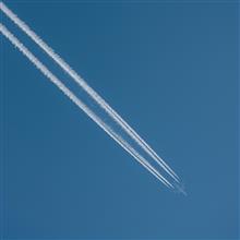 飛行機＆デヴィッド・ボウイ見物