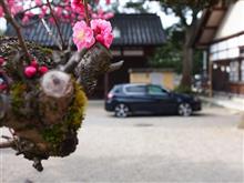 よろしく！新顔です(^_-)-☆