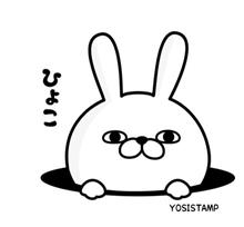 こんどの日曜はおはみな（笑）