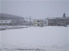3月最後の農作業