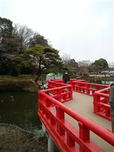 花見は今週かな？